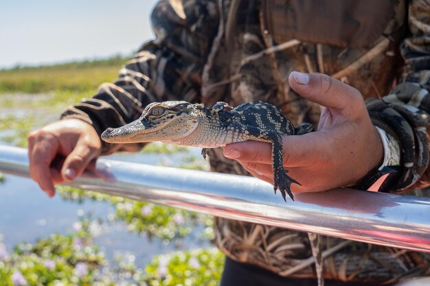 The Evolution of State Fish and Game Departments: Implications for Conservation and Angling