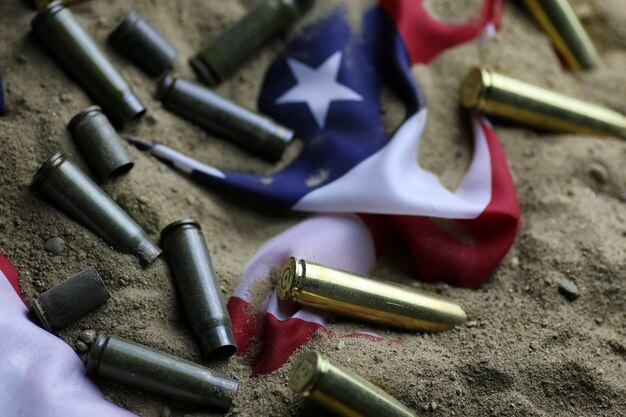 A Second Amendment Victory: Illinois Gun Ban Struck Down by the Courts